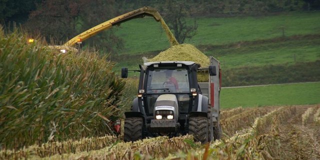 Das Thema Unfallverhütung stärker in den Fokus gerückt werden. (Symbolbild/lid)