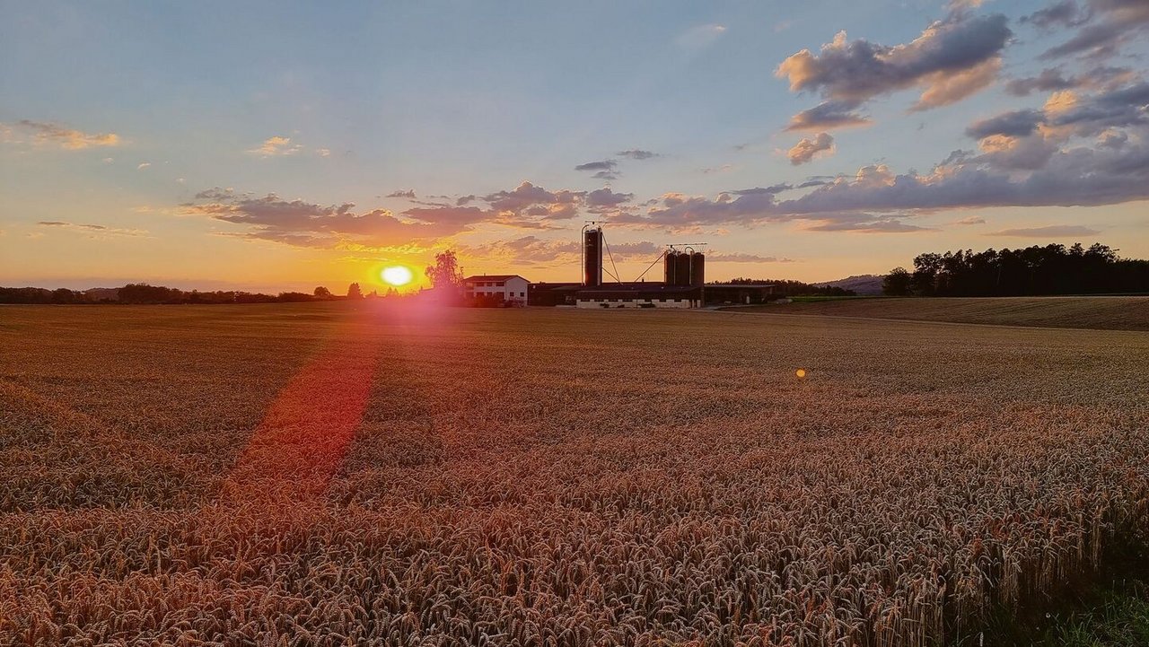 Aktuell müssten die Landwirtinnen und Landwirte ihren verdienten Feierabend dafür nutzen, sich schlau zu machen, was 2023 für Neuerungen bringt.