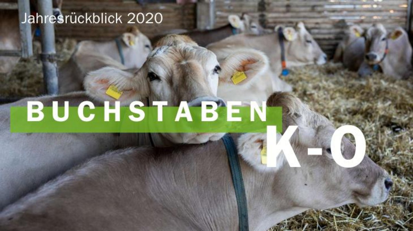 Jahresrückblick 2020 - Buchstaben K-O (Bild BauZ)