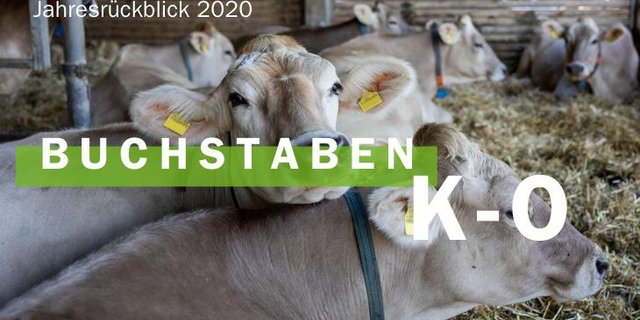 Jahresrückblick 2020 - Buchstaben K-O (Bild BauZ)