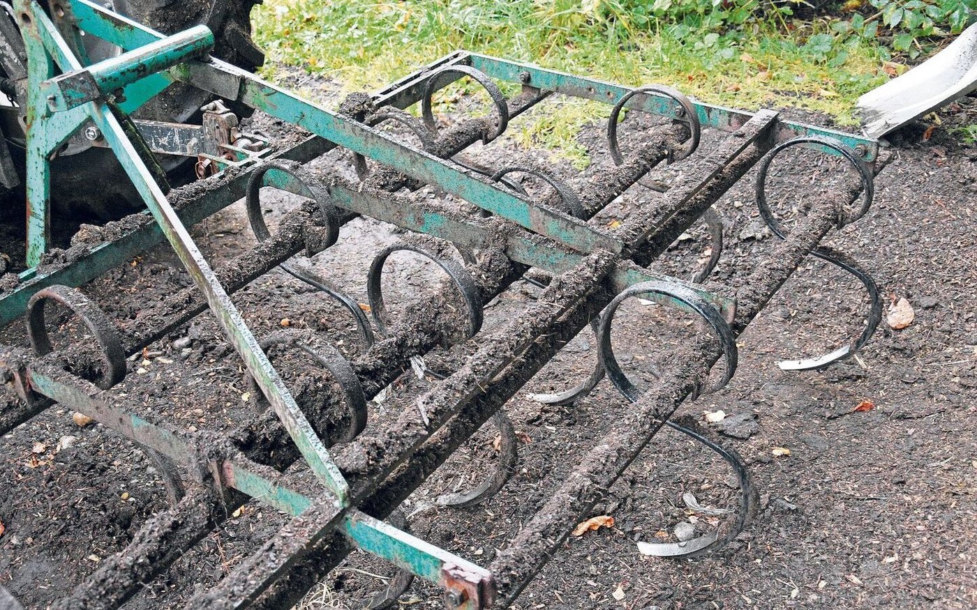 Einmal täglich wird die Einstreu geeggt, um Kot und Urin einzuarbeiten. Die Kühe sind währenddessen im Fressgitter.