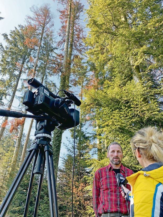 Ruedi Gerber, Präsident Wald Luzern, im Interview mit Tele 1 im Herzigwald bei Rain. Er weist auf die zu erwartenden grossen Schäden durch Borkenkäfer hin und erwartet Massnahmen von der Politik. (Bild Josef Scherer)