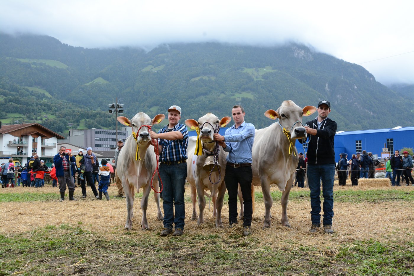 Podest der BS-Kühe (v.l.n.r.) 3. Rang für Coline, Damian Arnold, Schattdorf, Siegerin Evolet von Manuel Arnold, Erstfeld, Zweitplatzierte Nancy von Hansruedi Arnold, Bürglen.