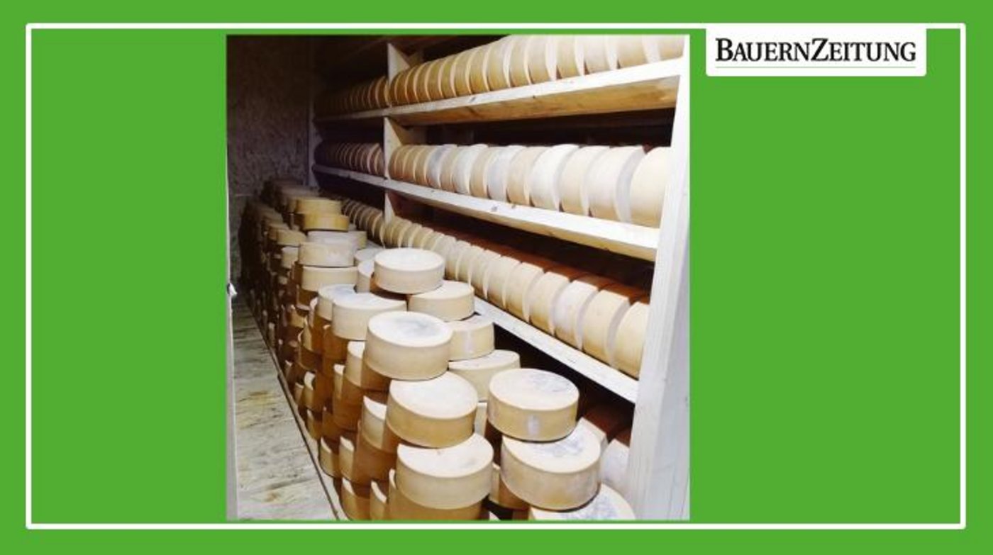 «Spitzhorn Extra» ist das Hauptprodukt der Spitzhorn-Käserei. Er lagert im Gaden, bis er verkauft wird.  (Bild Toni Bergmann)