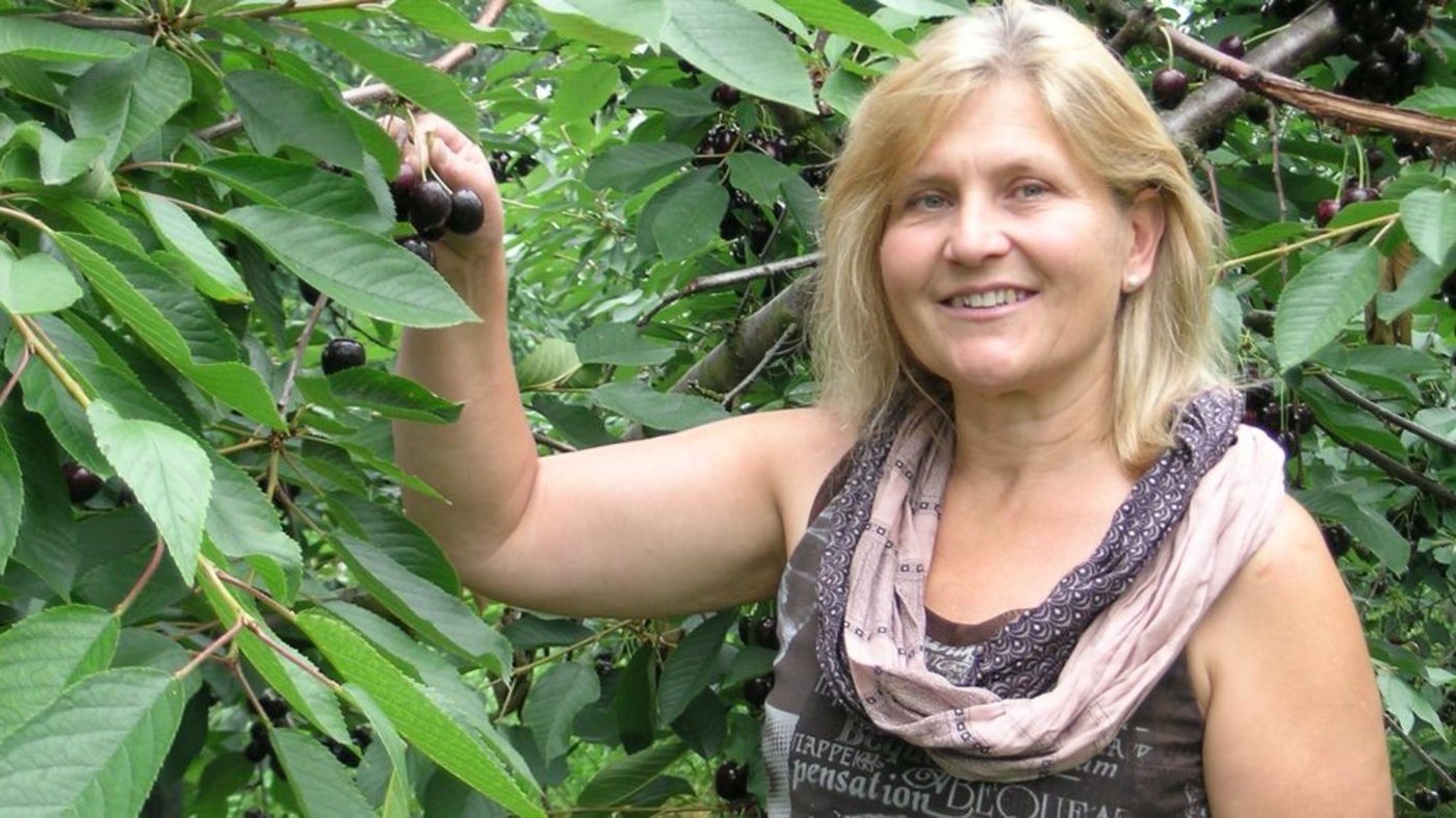 Was Doris Keller auf dem Bühlhof in Schocherswil TG an Früchten erntet, verkauft sie direkt ab Hof und einmal pro Woche auf dem Markt. (Bild: Isabelle Schwander)