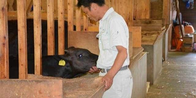 Keine Freude haben die japanische Bauern. Sie fürchten zu viele Importe aus der EU. (Bild Ann Schärer/lid)