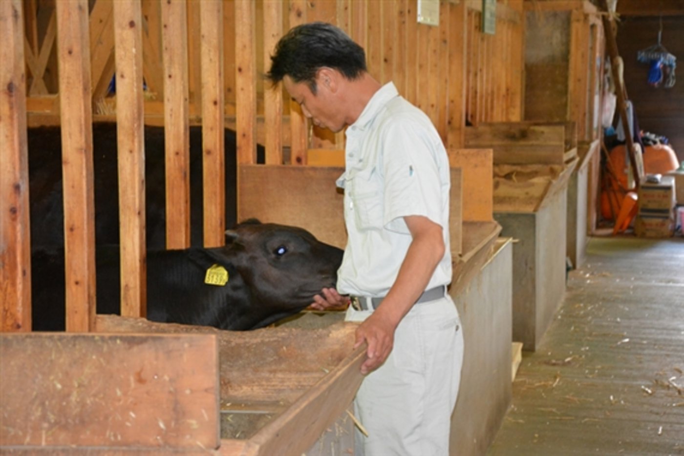 Keine Freude haben die japanische Bauern. Sie fürchten zu viele Importe aus der EU. (Bild Ann Schärer/lid)