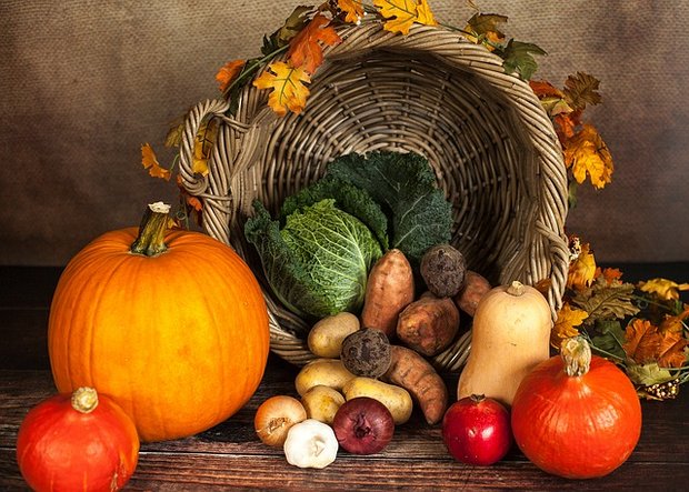 Kürbisse dominieren den Herbst und Halloween. (Bild Pixabay)