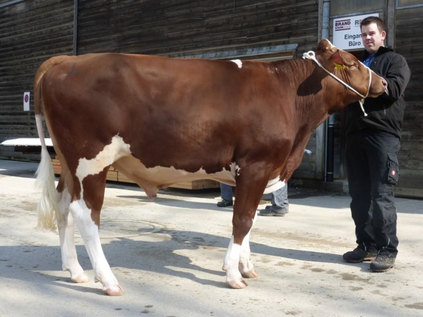 SF-Sieger: Bantiger Pierolet Magnum von Hanspeter und Simon Eichenberger, Arni (Mitbesitzer: Hansjörg Schäfer, Bowil).