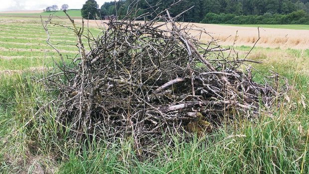 Ein Asthaufen für Kleinsäugetiere und Insekten gilt als Kleinstruktur.