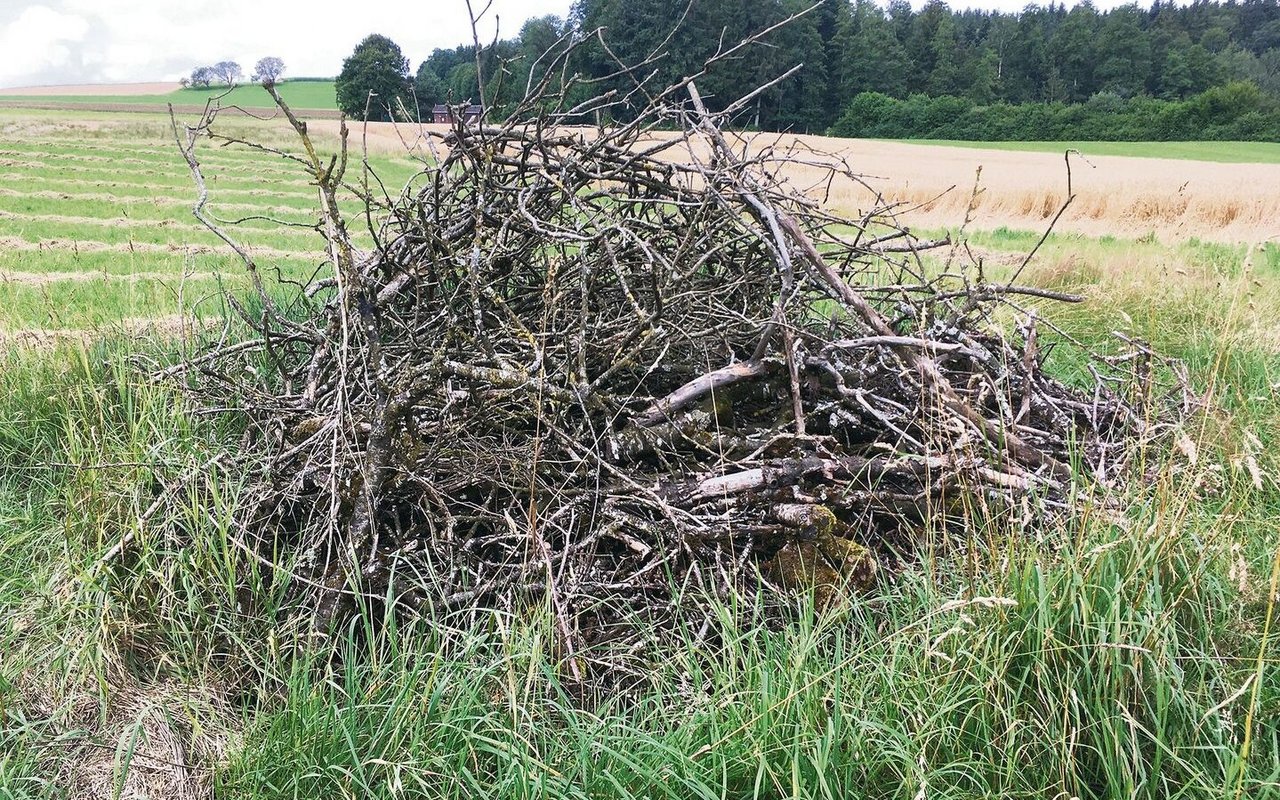 Ein Asthaufen für Kleinsäugetiere und Insekten gilt als Kleinstruktur.