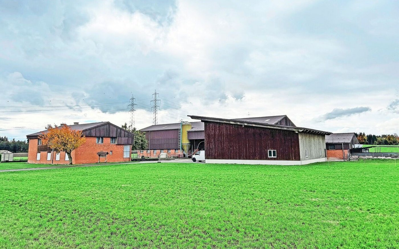 Der Rigihof mit Wohnhaus, Schweineställen und Remise.