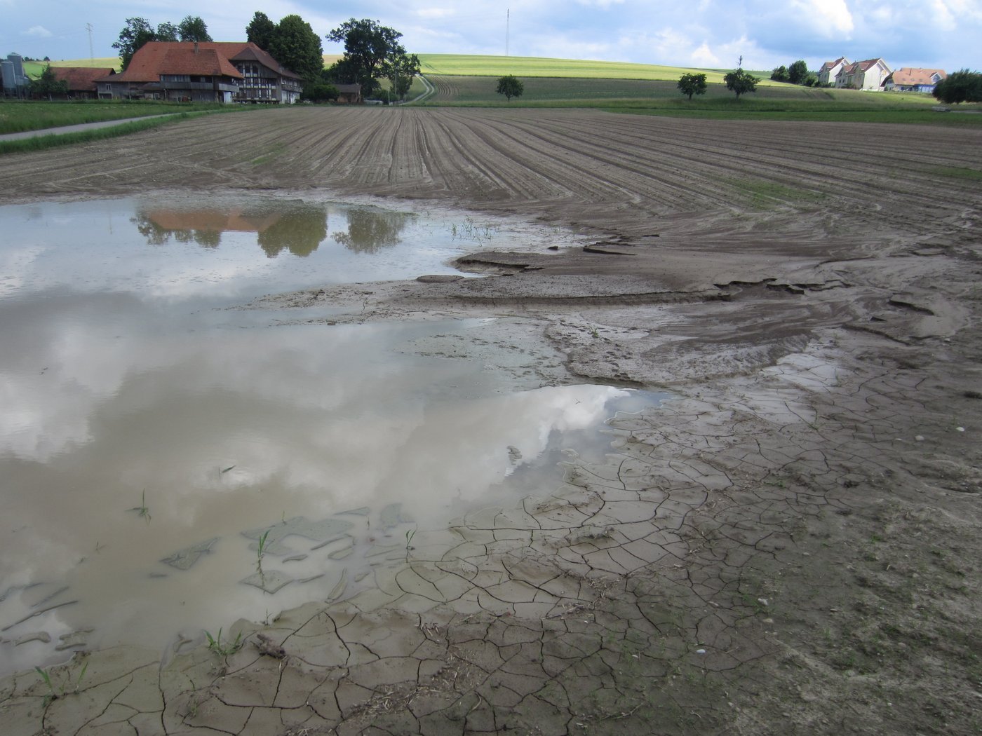 Ein klares Zeichen für Erosion und fehlende Krümelstrukturen (Bild Volker Prasuhn)