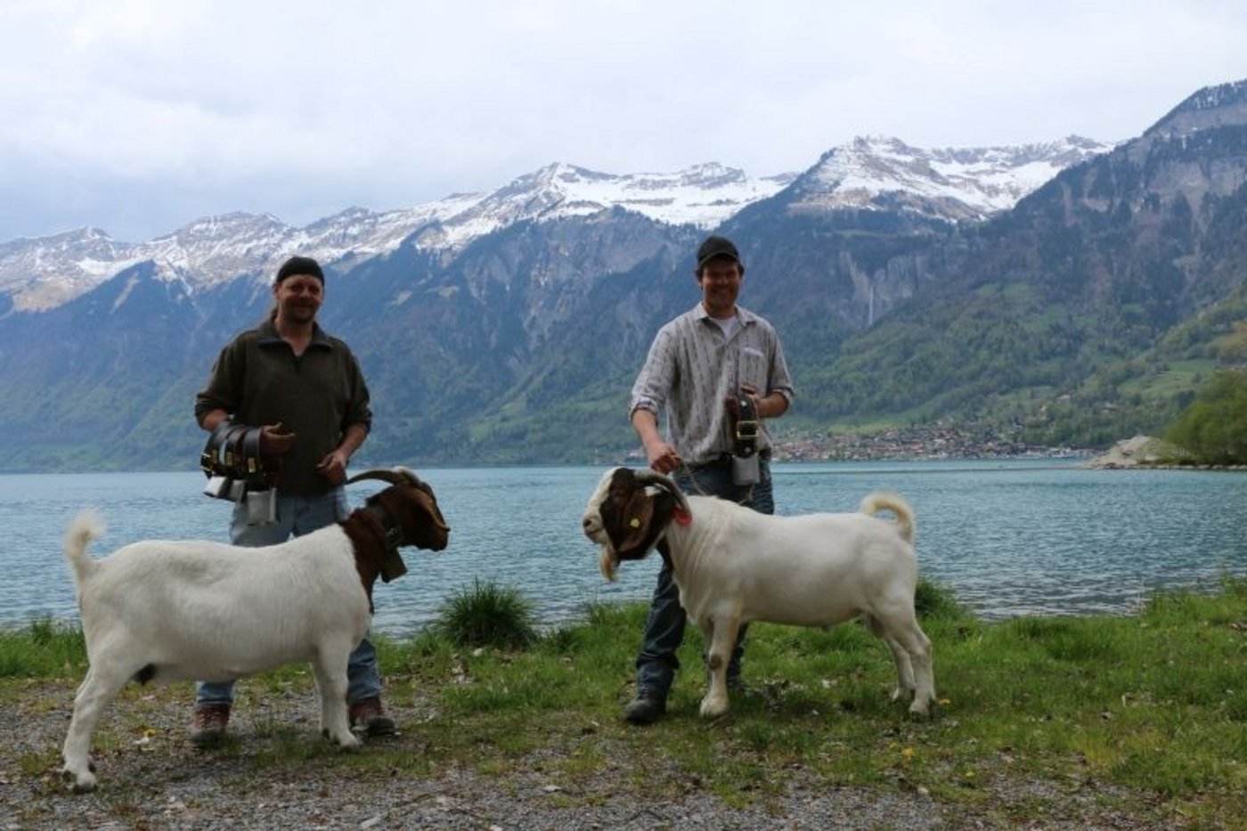 Corda von Rinaldo Eggel aus Raron VS wurde zur Miss, Tango von René Odermatt aus Oberdorf NW, zum Mister gewählt. 
