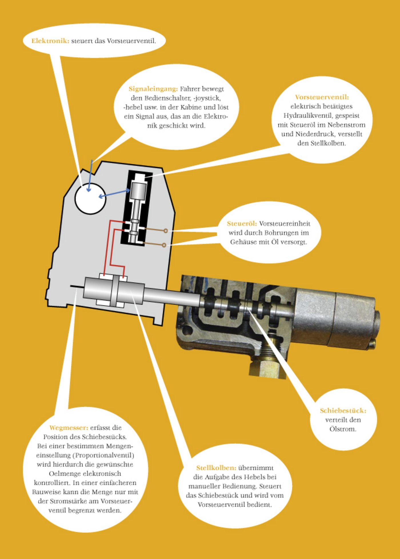 Das Innenleben der Vorsteuereinheit.