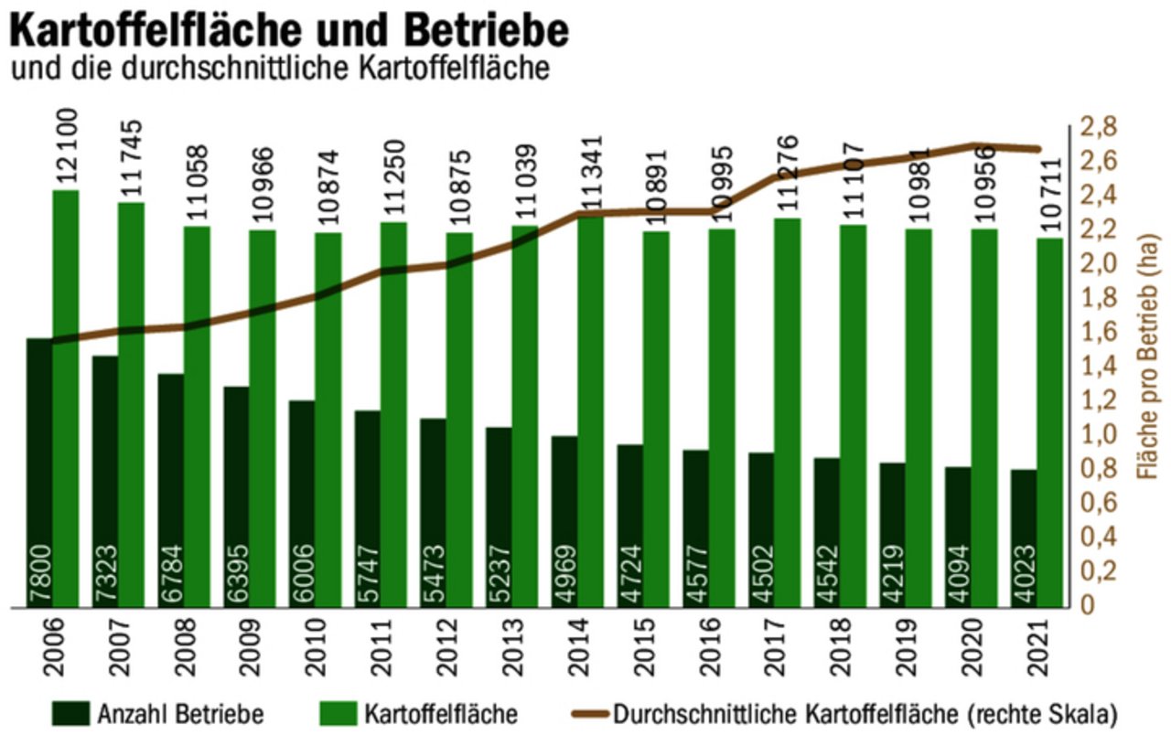 Bei der (durchschnittlichen) Kartoffelfläche und der Anzahl Betriebe sieht man in den letzten 15 Jahren deutliche Veränderungen. 