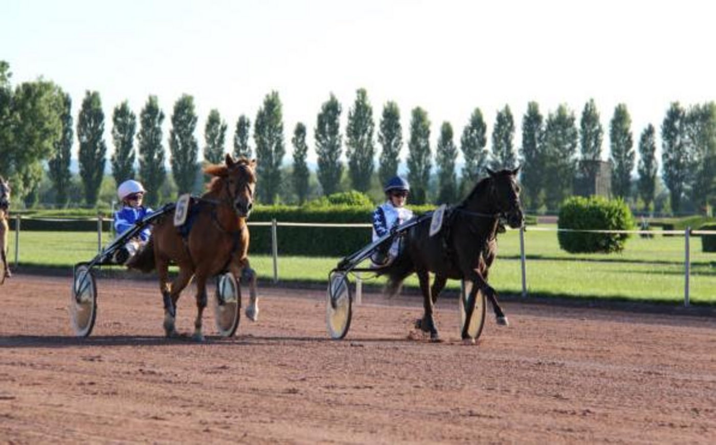 Am Pferdefestival Equus helveticus in Avenches finden Ponytrabrennen statt. (Screenshot ponyrennen-schweiz.ch)