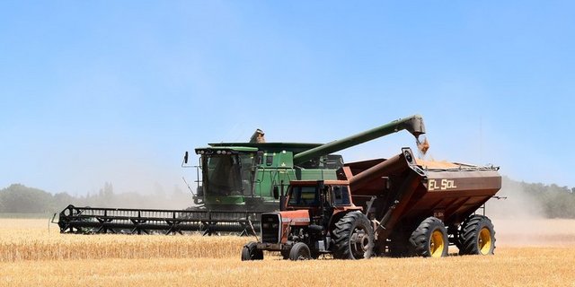 Die US-amerikanischen Landwirte erhofften sich durch TPP Exportchancen, etwa bei Getreide. (Bild pd)