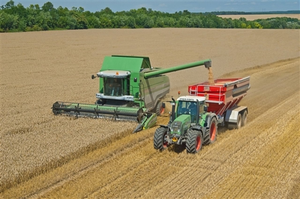 Der Simulation zufolge erhöht sich die landwirtschaftlich nutzbare Fläche bis zum Jahr 2100 weltweit um etwa 5 Millionen Quadratkilometer. Diese Flächen sind aber nur mässig für die Landwirtschaft geeignet, prognostizieren Forscher. (Bild: zVg)