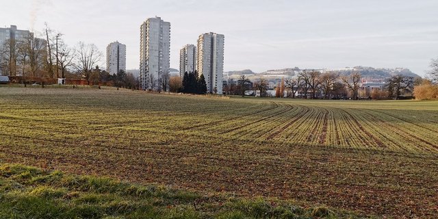 Die landwirtschaftlichen Böden gelangen in den Fokus verschiedener Unternehmen. Sie bieten grosses Potenzial, wenn es um Klimakompensation geht. Verschiedene Ressourcenprojekte sind angelaufen. An finanziellen Mitteln dürfte es nicht fehlen. (Bild Simone Barth)
