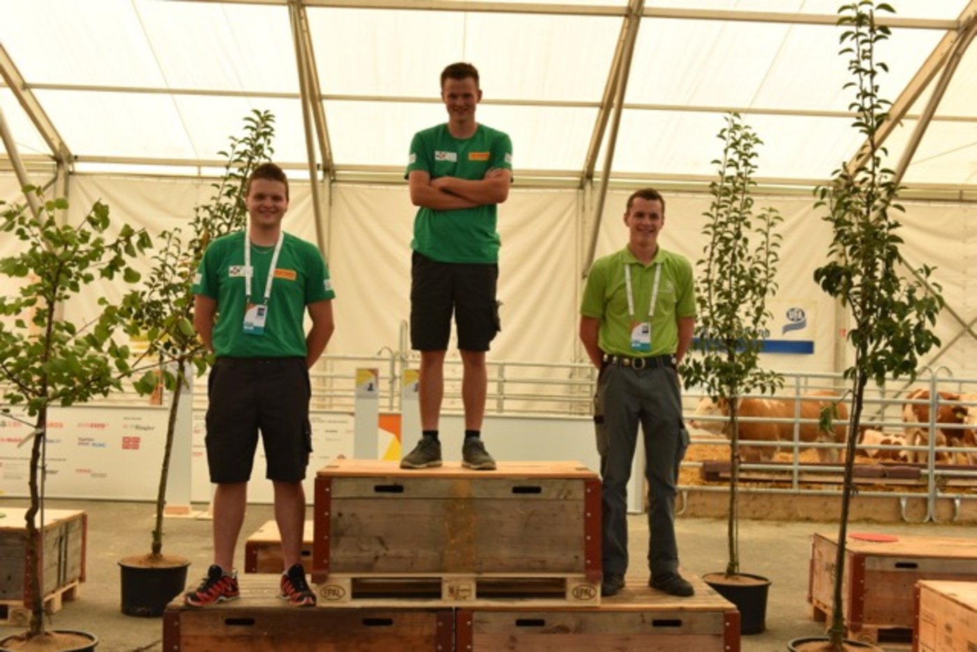 Die ersten drei Finalisten bei den Landwirten. (Bild SBV)