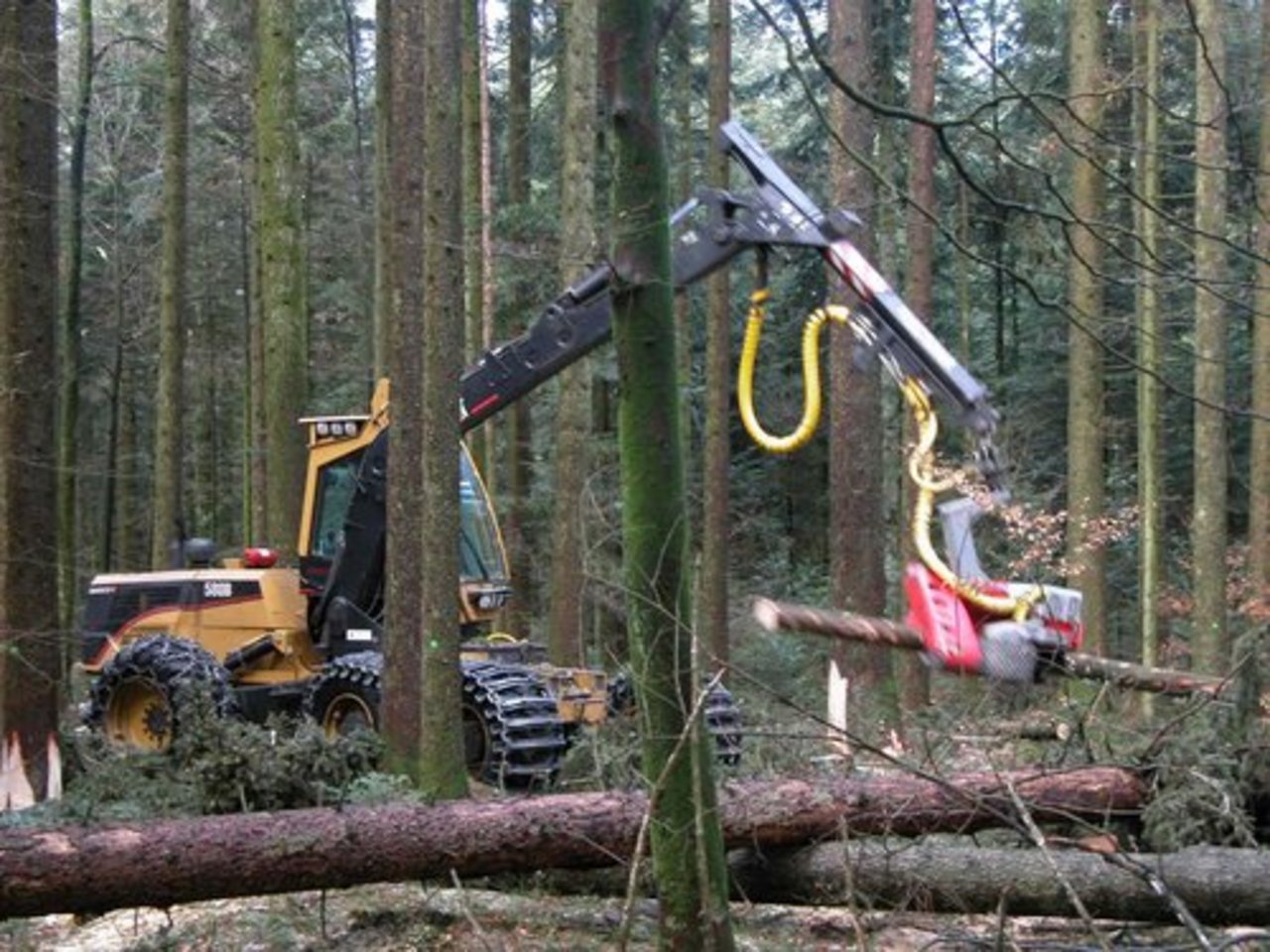 Der nasse und aufgeweichte Waldboden verhinderte vielerorts die Holzernte. (Bild: lid)
