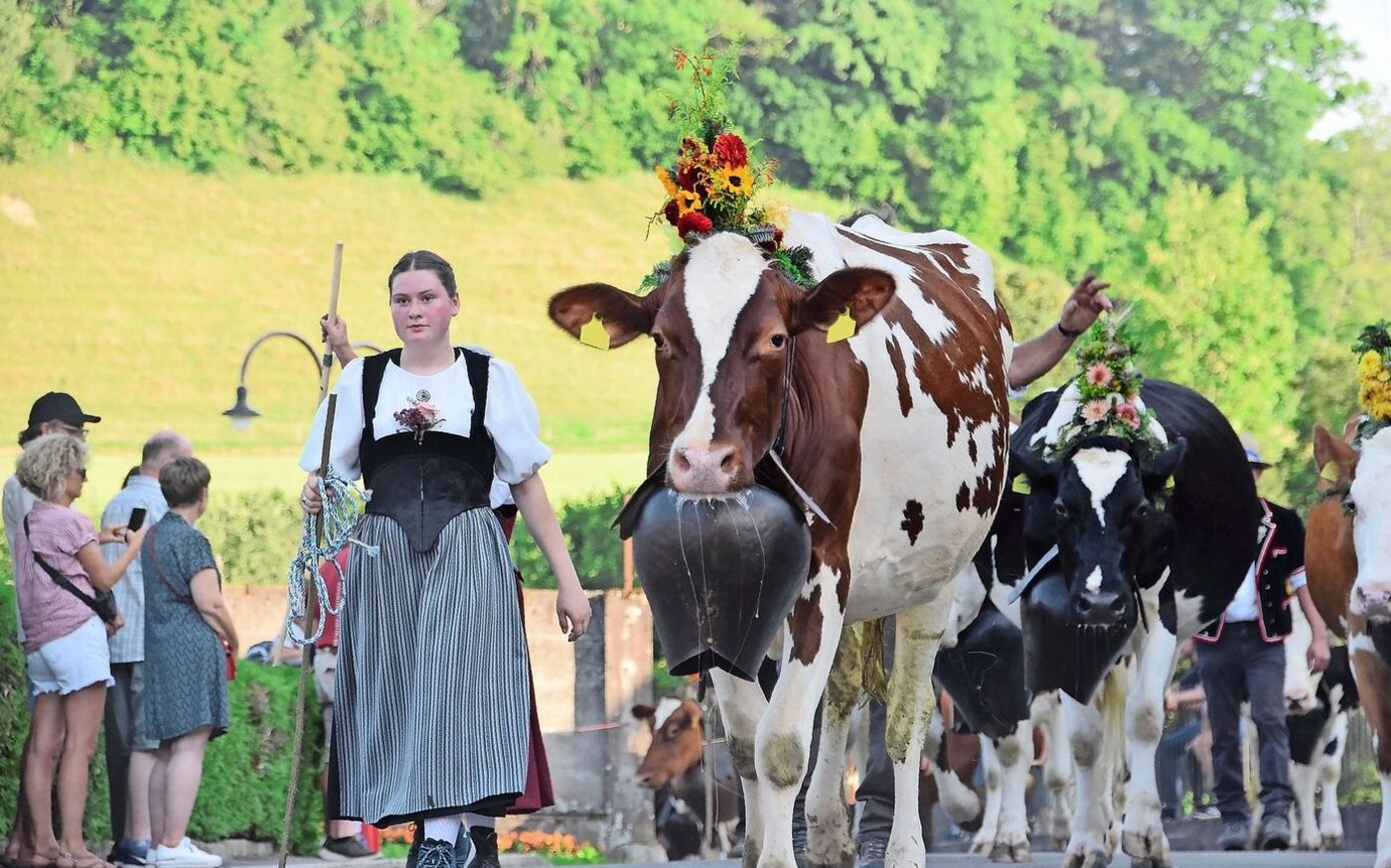 Sara Steiner, Bruderlohn, in der schönen Gotthelf-Werktagstracht. Viele junge Frauen und Männer liefen am Alpabzug mit. 