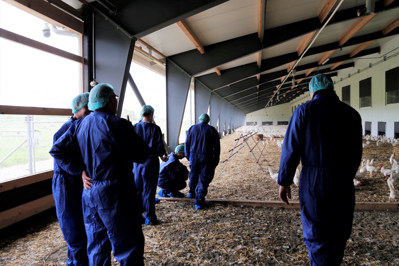 Weil die Teilnehmer in kurzer Zeit viele Geflügelställe besuchten, waren hohe Hygienestandards unabdingbar. (Bild Melina Gerhard)