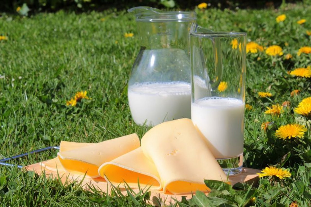 Die Produktion von frischer Trinkmilch ging zurück, haltbare Milch wurde mehr produziert. (Bild Pixabay)