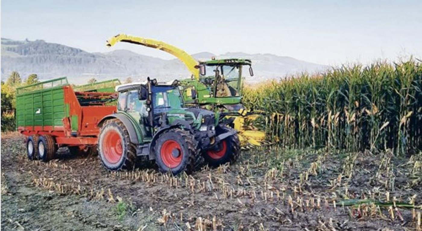 Die Silomaisernte hat in einigen Regionen bereits begonnen. Sie startet damit um eine Woche früher als 2019. (Bild Mathilde Poupon)