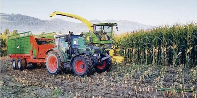 Die Silomaisernte hat in einigen Regionen bereits begonnen. Sie startet damit um eine Woche früher als 2019. (Bild Mathilde Poupon)