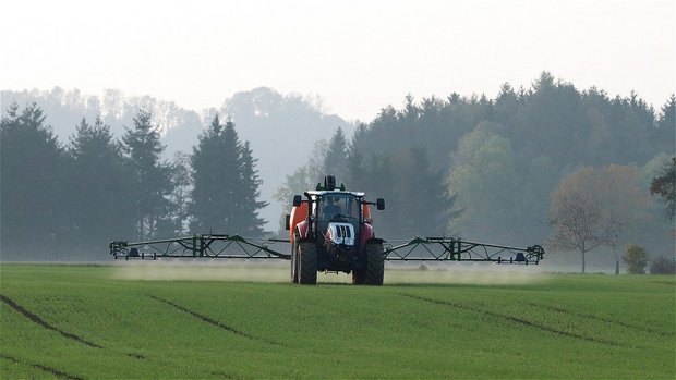 Etappensieg für Syngenta: Chlorothalonil nicht mehr «wahrscheinlich krebserregend» Die Diskussion um die Gefährdung der Gesundheit durch Pflanzenschutzmittel wird oft emotional geführt. Syngenta wünscht sich mehr faktenbasiertes Vorgehen. (Symbolbild Pixabay)