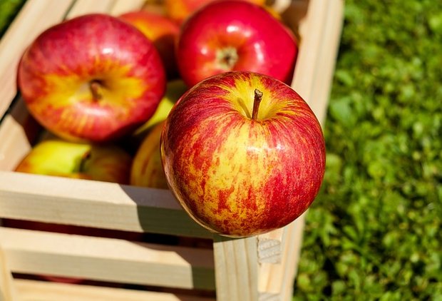 Bald gibt es IP-Suisse-Äpfel von Fenaco. (Symbolbild pixabay)