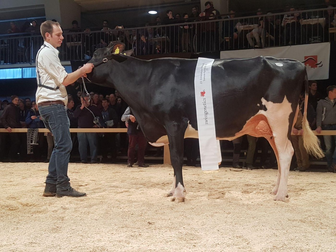 Tschirren’s Armani Bolivia wird Stareuter-Siegerin RH/RF/HO. (Bilder Simone Barth)