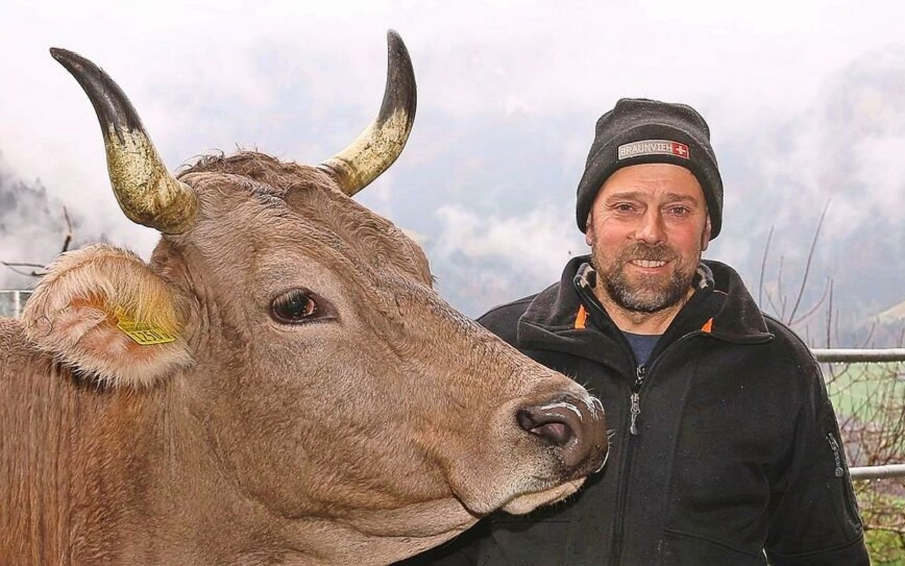 Langlebige und gesunde Kühe, die nur mit betriebseigenem Futter Milch produzieren, sind das Zuchtziel des Nidwaldner Biobauern Willi Ambauen.