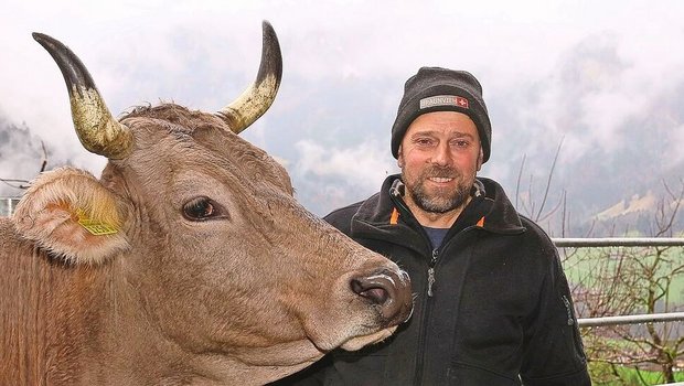 Langlebige und gesunde Kühe, die nur mit betriebseigenem Futter Milch produzieren, sind das Zuchtziel des Nidwaldner Biobauern Willi Ambauen.
