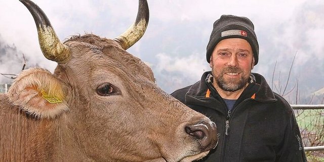 Langlebige und gesunde Kühe, die nur mit betriebseigenem Futter Milch produzieren, sind das Zuchtziel des Nidwaldner Biobauern Willi Ambauen.