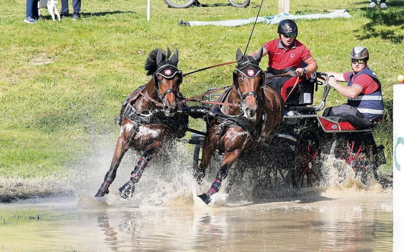 Marcel Luder mit dem selber gezüchteten 19-jährigen Charli und Laika auf grandioser Fahrt unterwegs zu WM-Silber.