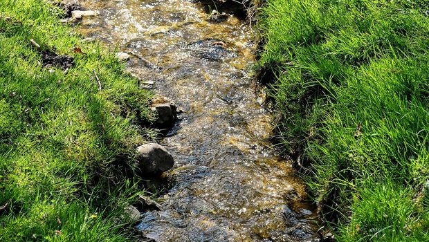 Abschwemmung ist eine der Möglichkeiten, wie Pflanzenschutzmittel in Gewässer gelangen können und die im Rahmen des Berner Pflanzenschutzprojekts mit Massnahmen reduziert werden sollen. (Symbolbild Alexas_Fotos / Pixabay)