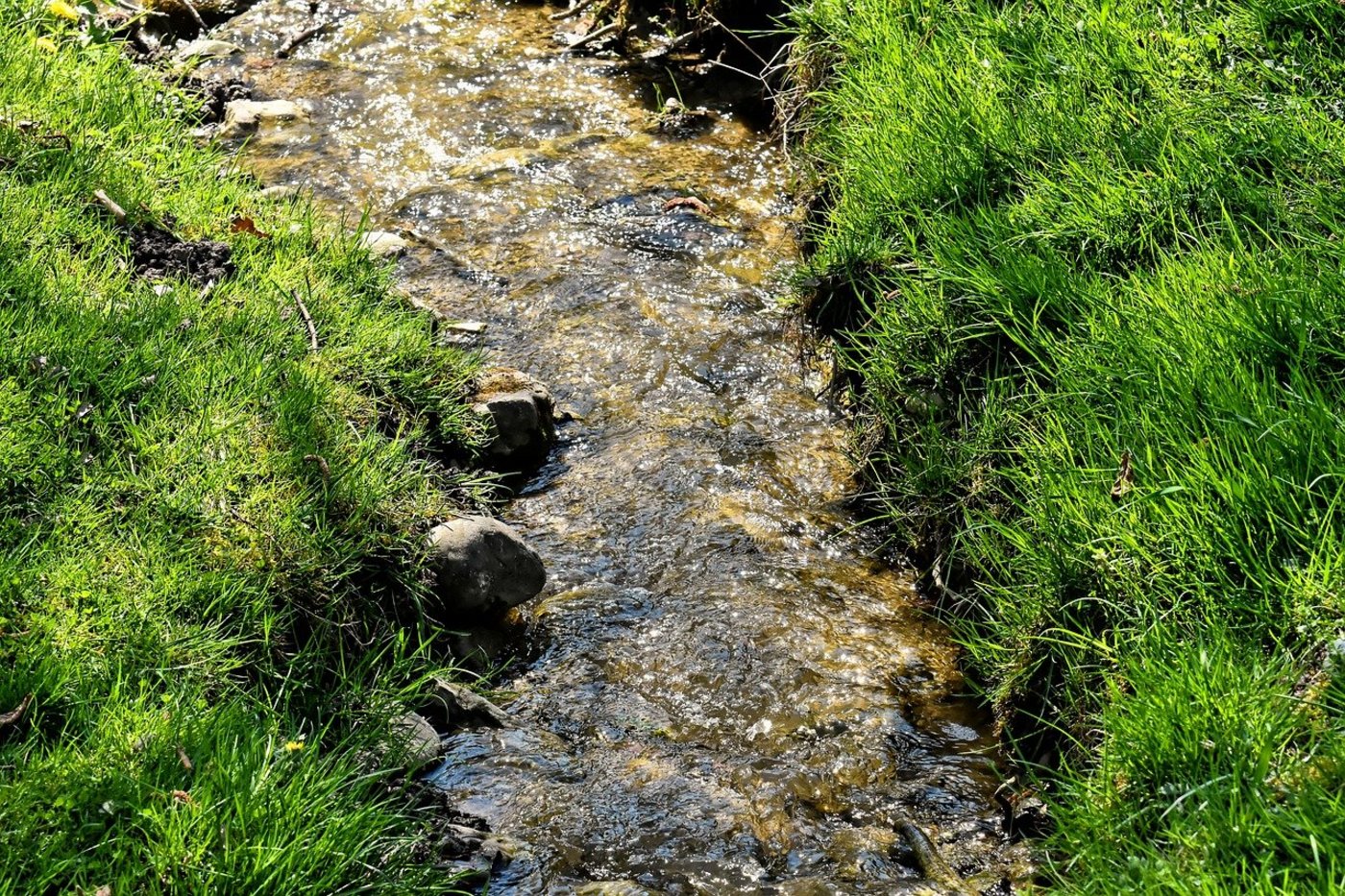 Abschwemmung ist eine der Möglichkeiten, wie Pflanzenschutzmittel in Gewässer gelangen können und die im Rahmen des Berner Pflanzenschutzprojekts mit Massnahmen reduziert werden sollen. (Symbolbild Alexas_Fotos / Pixabay)