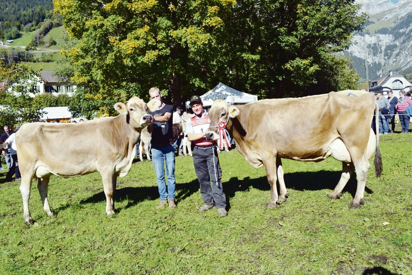 Siegertiere im Mutter-Tochter-Wettbewerb von Josef Infanger.(Bild pk)