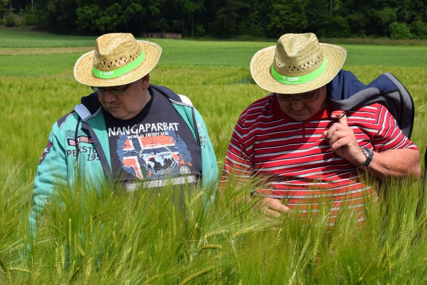 Interessierte Besucher begutachten den schön stehenden Gerstenbestand.