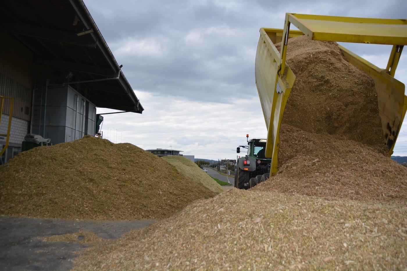 In der Trocknungsanlage in Oberkirch LU wird Mais abgeladen. (Bilder Josef Scherer)