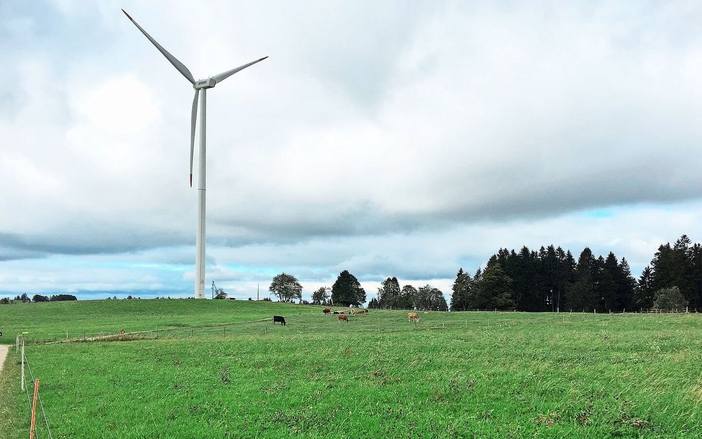 Rund um das Windrad im Kanton Jura weiden Kühe. Das soll auch im Kanton Zürich realisiert werden. Der Regierungsrat legte den Richtplan mit 20 Standorten vor, wo Windparks entstehen könnten.  