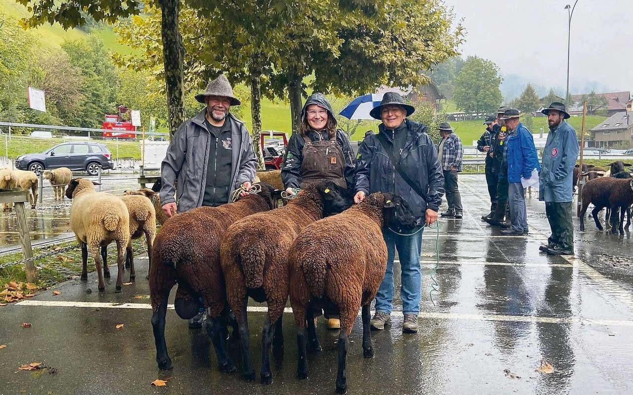 Sieger Betriebscup Schwarzbraunes Bergschaf SBS von Familie Betschart, Stalden. 