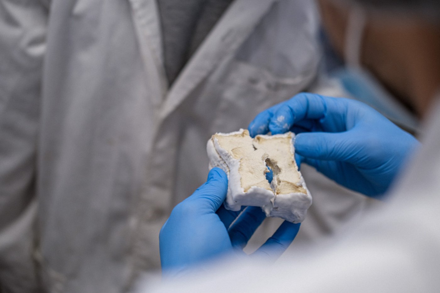 Die Reifezeit mit bekannten Fermentations-Kulturen verleiht dem veganen Käse-Ersatz den richtigen Geschmack. New Roots verzichtet auf Aroma- und andere Zusatzstoffe. (Bild New Roots) 