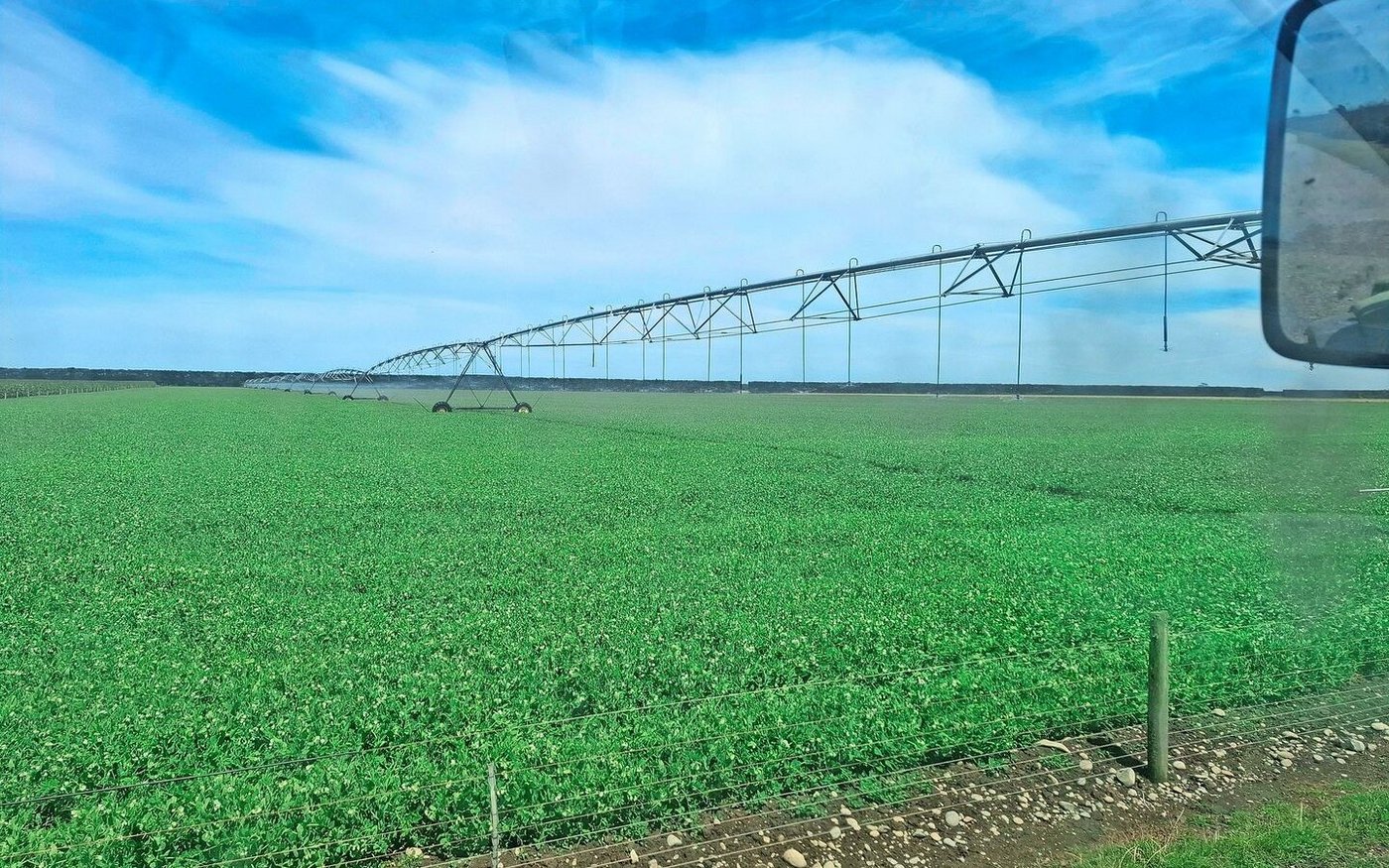 Das kennt man hierzulande nicht: Die riesigen Irrigatoren dienen zur grossflächigen Bewässerung.