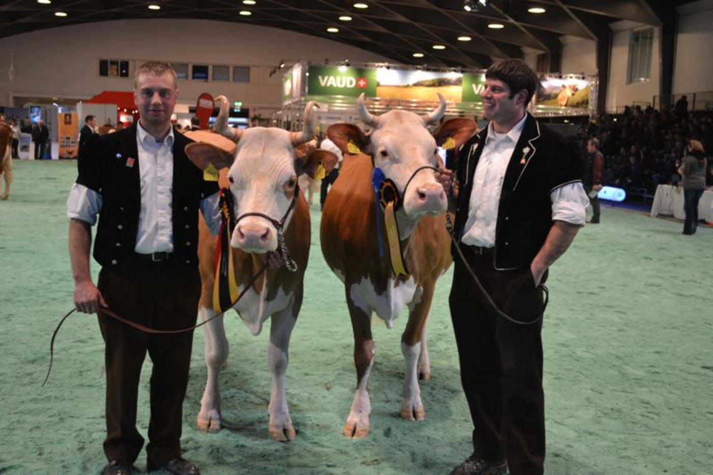 Schöneuter (links): Solan Kapita, Jonathan und Stephan Perreten, Lauenen b. Gstaad / Vize-Schöneuter: Akalei Nineron, Ueli und Toni Schärz, Aeschi b. Spiez