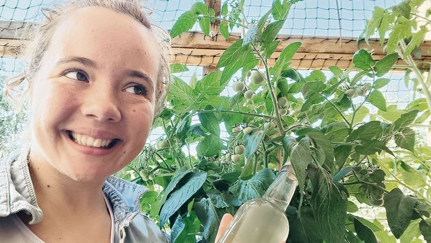 Samira Furrers Tomat Samira Furrers Tomaten gedeihen, ihr Holundersirup ist fertig und die Vorfreude auf schöne, warme Tage ist auch da. Der Sommer kann eindeutig kommen.