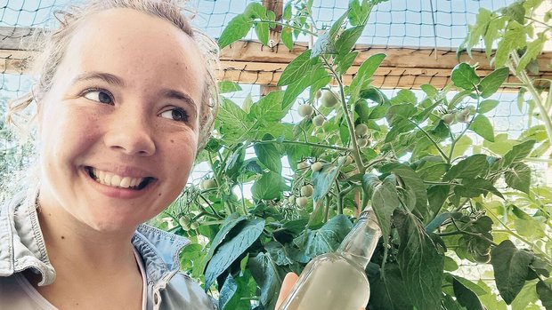Samira Furrers Tomat Samira Furrers Tomaten gedeihen, ihr Holundersirup ist fertig und die Vorfreude auf schöne, warme Tage ist auch da. Der Sommer kann eindeutig kommen.